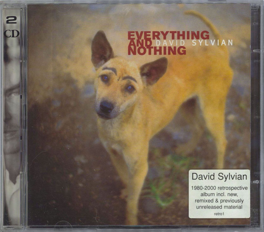 David Sylvian Everything And Nothing UK 2 CD album set (Double CD) CDVD2897