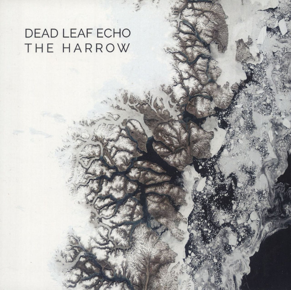 Dead Leaf Echo Child.Glass.Heart / Dirty Minds - Numbered US 7" vinyl single (7 inch record / 45) MSR030