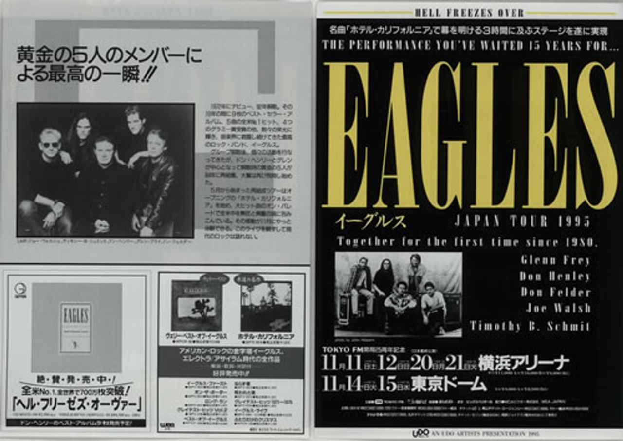 EAGLES HELL FREEZES OVER 1995 Hotel California Tシャツ L おこがましい giant MADE IN U.S.A.  ヴィンテージ