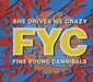 Fine Young Cannibals She Drives Me Crazy UK CD single (CD5 / 5") LONCD199