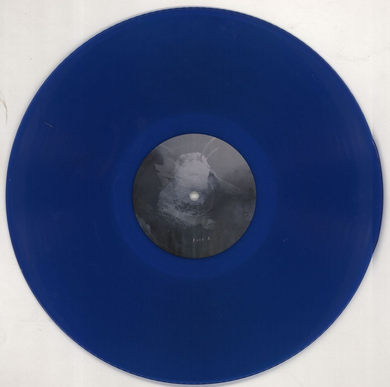 Hante. This Fog That Never Ends - Blue Vinyl - Autographed French vinyl LP album (LP record)