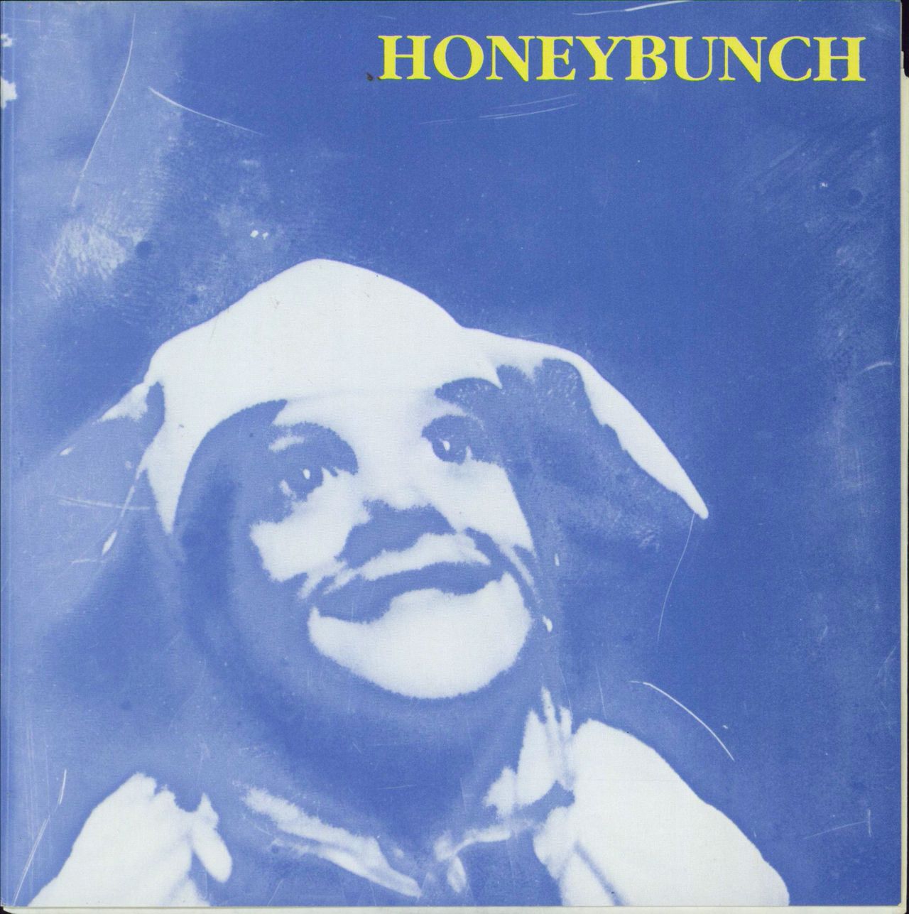 HoneyBunch Hey Blue Sky! US 7" vinyl single (7 inch record / 45) BUS004