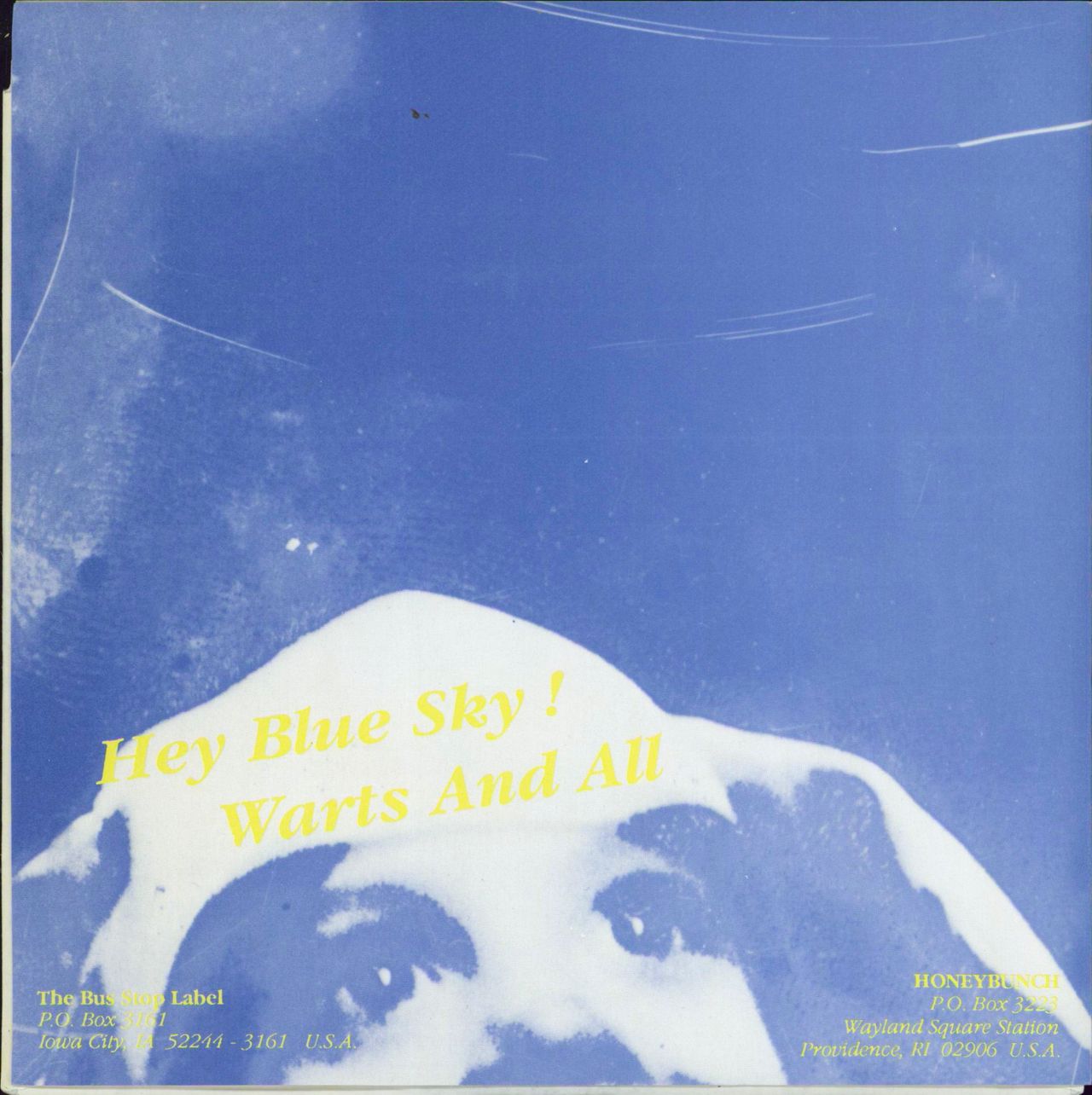 HoneyBunch Hey Blue Sky! US 7" vinyl single (7 inch record / 45) HP607HE767757