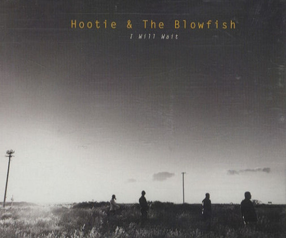 Hootie & The Blowfish I Will Wait UK CD single (CD5 / 5") AT0048CD