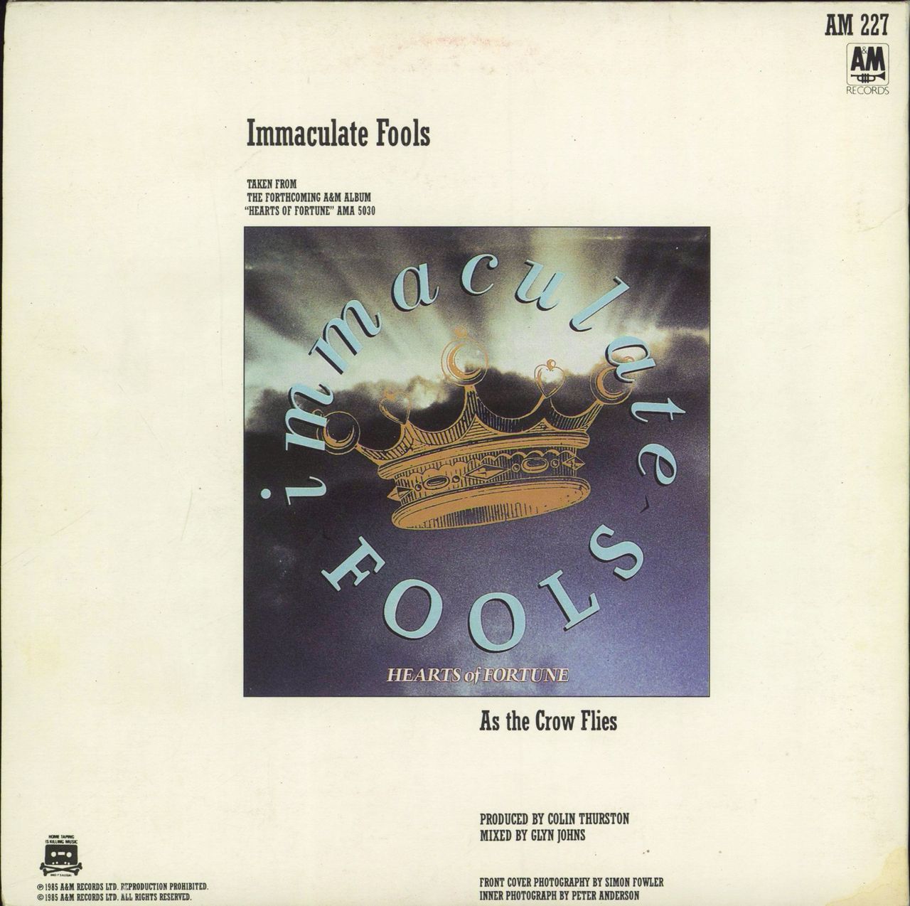 Immaculate Fools Immaculate Fools UK 7" vinyl single (7 inch record / 45)
