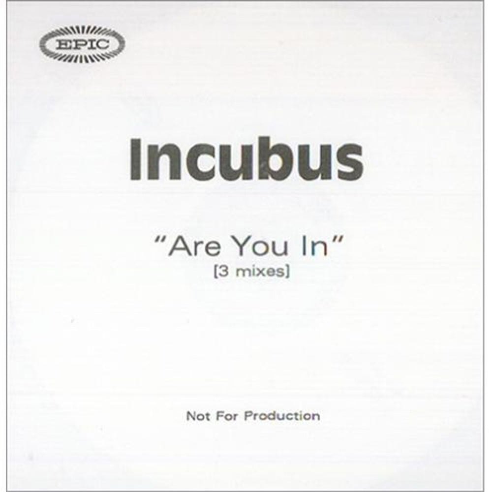 Incubus Are You In UK Promo CD-R acetate CDR ACETATE