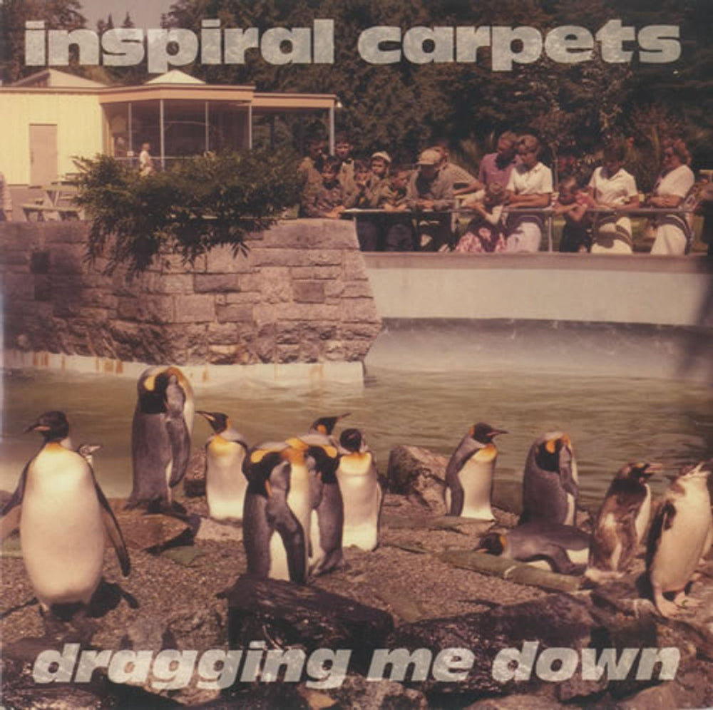 Inspiral Carpets Dragging Me Down UK 7" vinyl single (7 inch record / 45) DUNG16