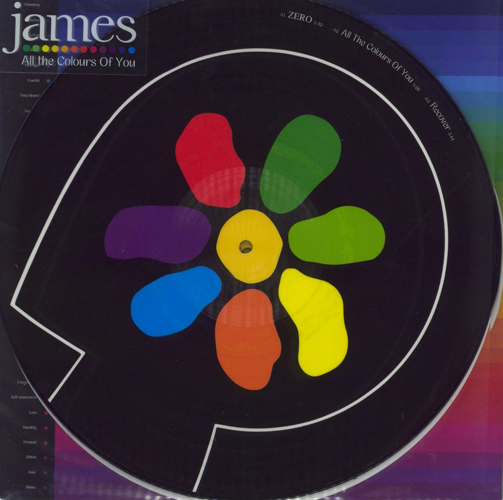 James All The Colours Of You UK picture disc LP (vinyl picture disc album) NBLM001LPP