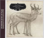 James Yorkston Folk Songs UK Promo CD album (CDLP) WIGDD236P