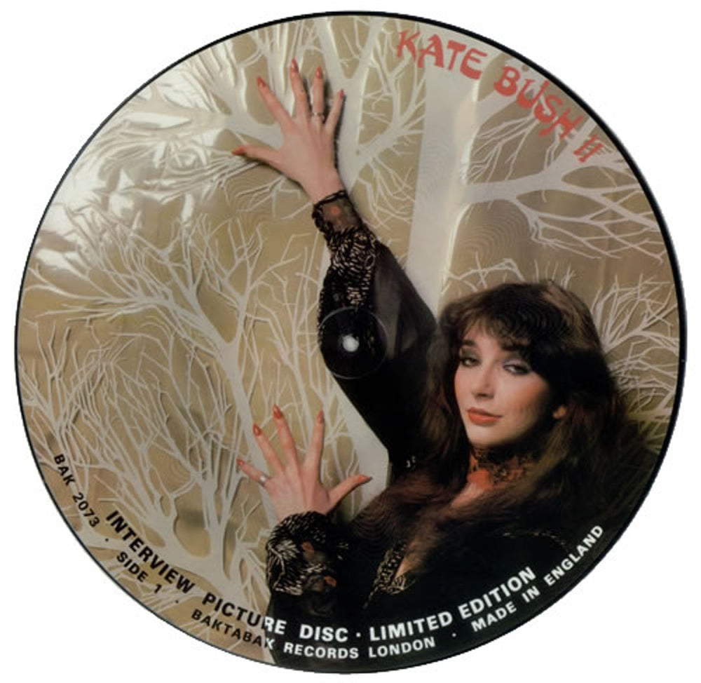 Kate Bush Interview Picture Disc UK picture disc LP (vinyl picture disc album) BUSPDIN34728