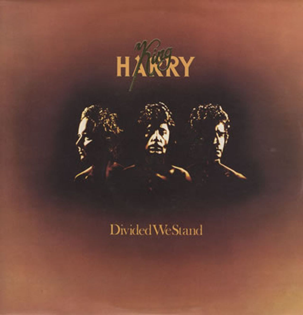 King Harry Divided We Stand UK vinyl LP album (LP record) EMC3188