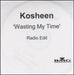 Kosheen Wasting My Time UK Promo CD-R acetate CD ACETATE