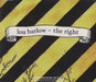 Lou Barlow The Right UK Promo CD single (CD5 / 5") RUG343CDP