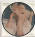 Madonna Take A Bow UK 7" vinyl picture disc (7 inch picture disc single) W0278P