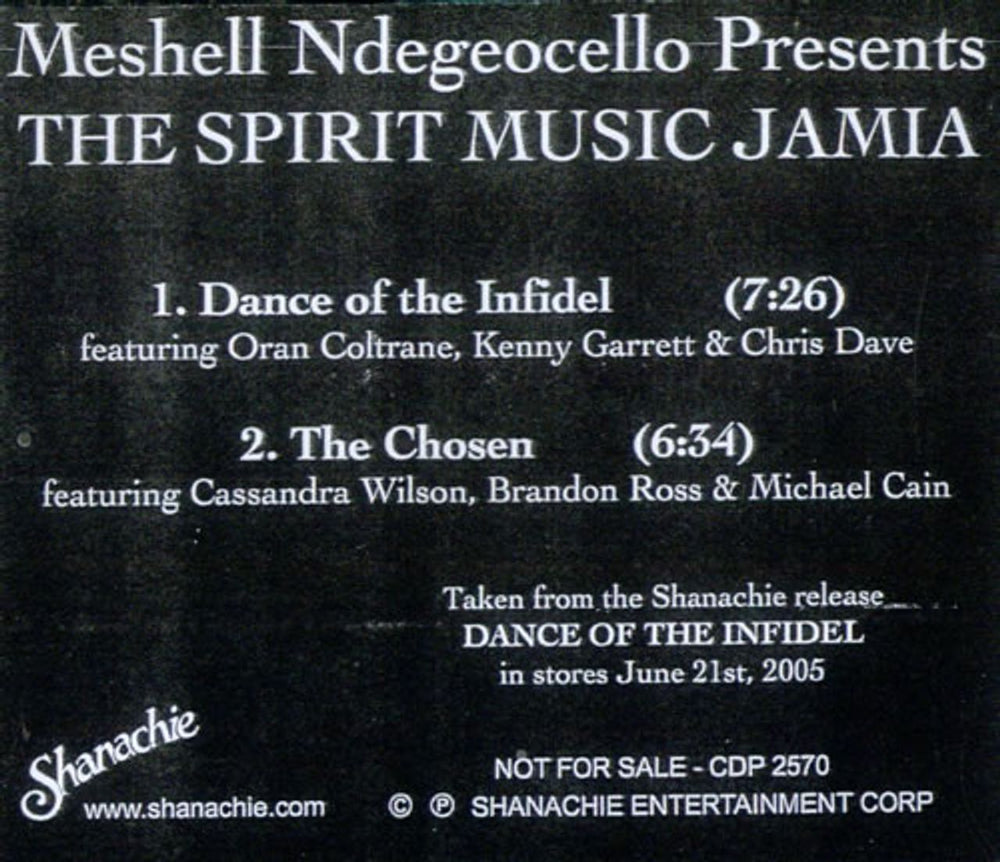 Me'Shell Ndegeocello The Spirit Music Jamia US Promo CD-R acetate CD-R ACETATE