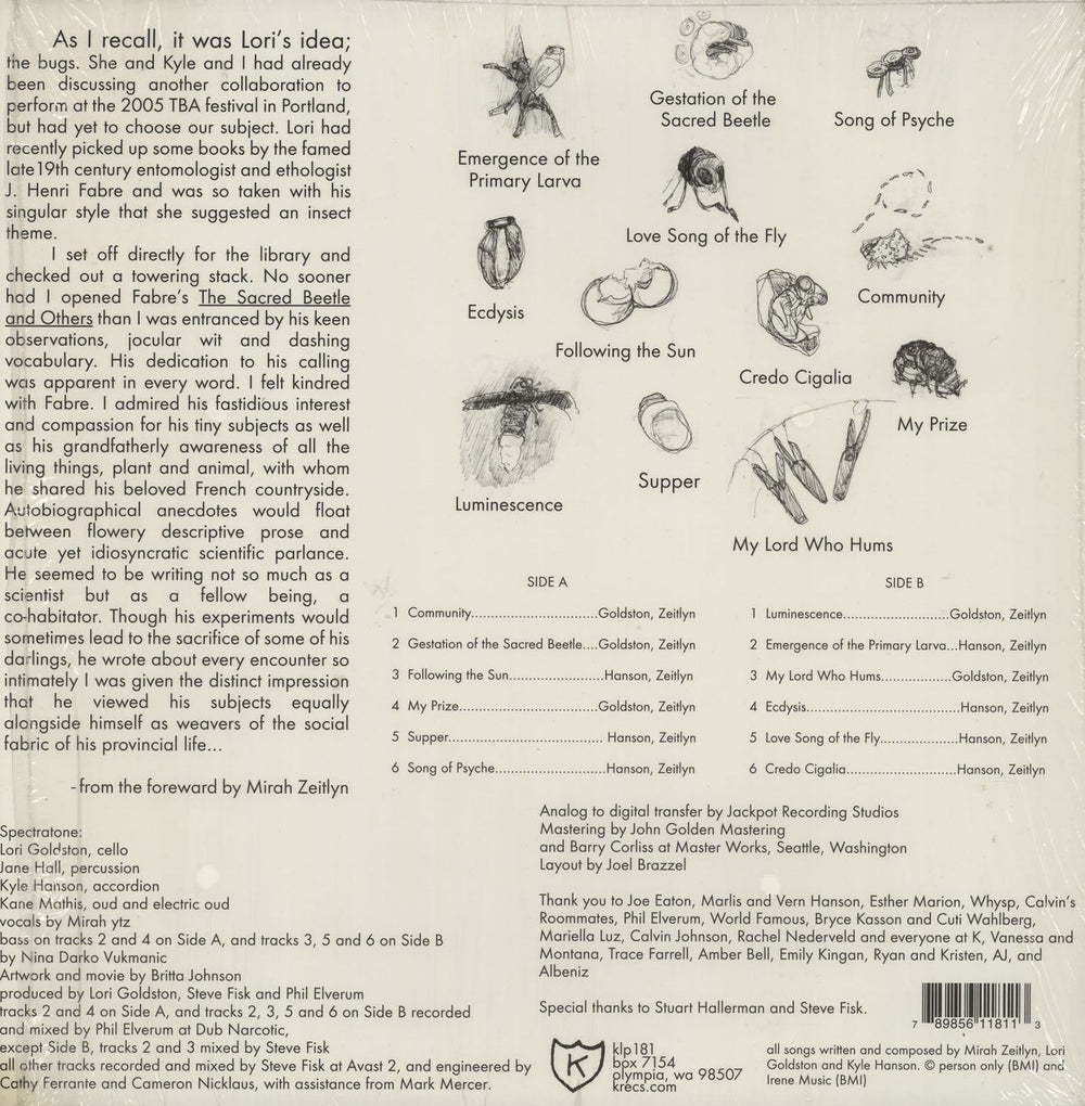 Mirah Share This Place US vinyl LP album (LP record) 789856118113