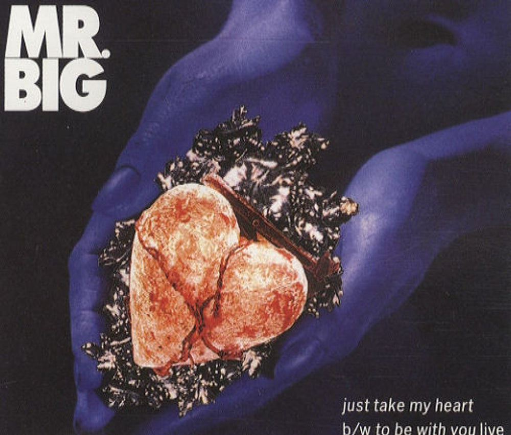Mr Big (US) Just Take My Heart UK CD single (CD5 / 5") A7490CD