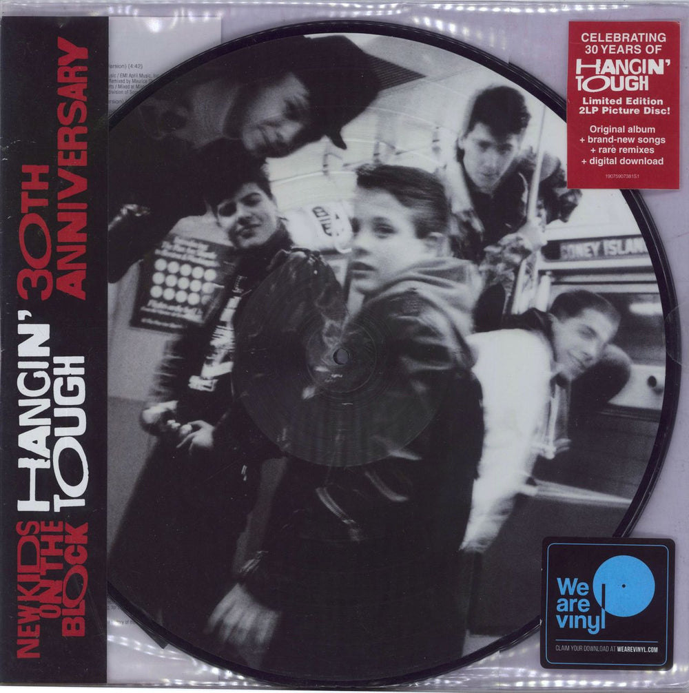 New Kids On The Block Hangin' Tough: 30th Anniversary US picture disc LP (vinyl picture disc album) 19075907381S1