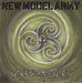 New Model Army Green And Grey UK 7" vinyl single (7 inch record / 45) NMA9