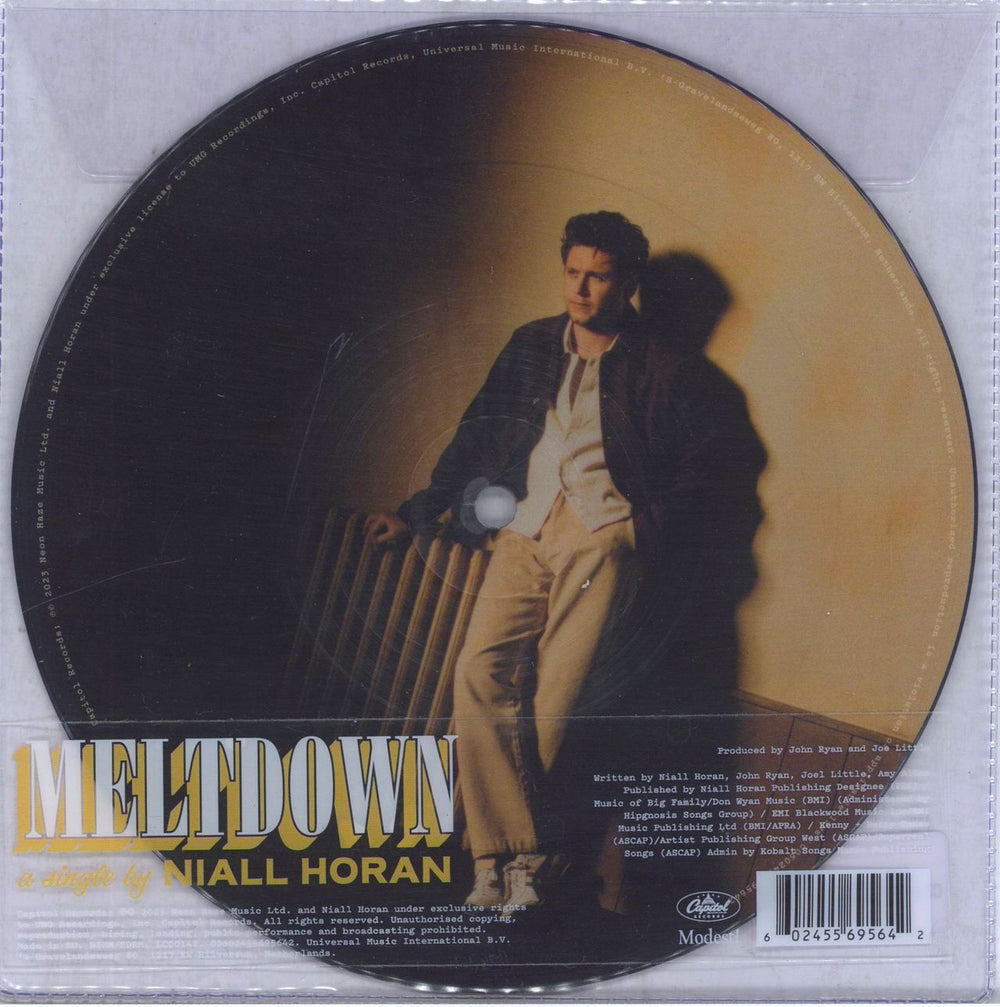 Niall Horan Meltdown UK 7" vinyl picture disc (7 inch picture disc single) 00602455695642