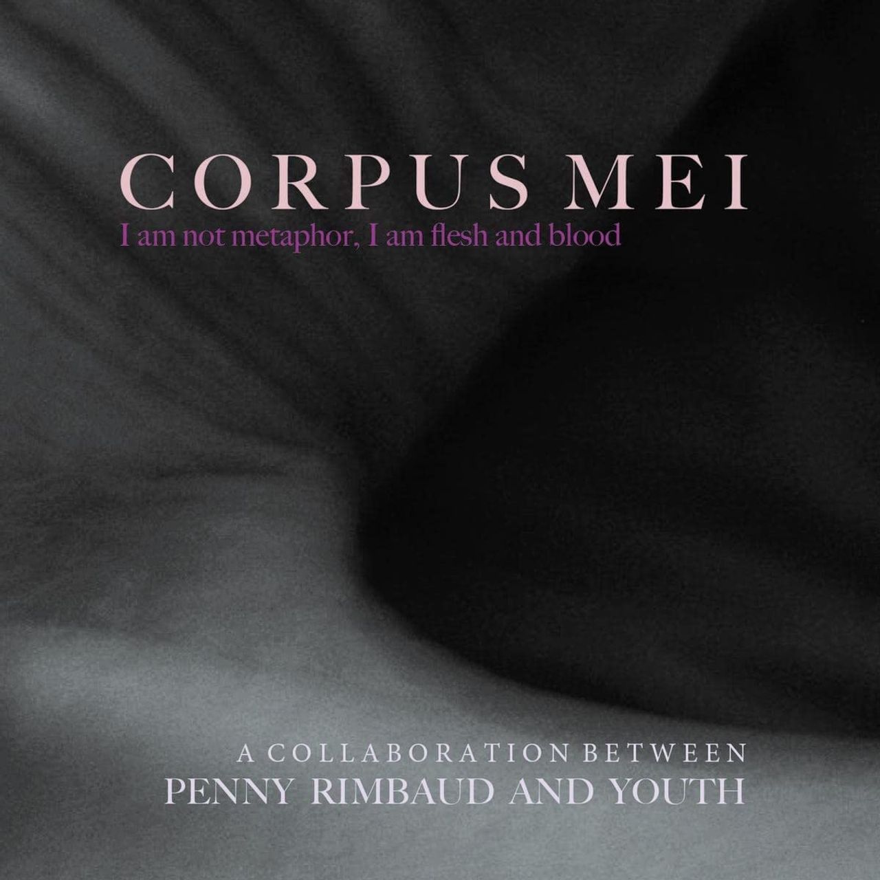 Penny Rimbaud & Youth Corpus Meu - Light Grey Vinyl - Sealed UK 2-LP vinyl record set (Double LP Album) 4H62LCO785751