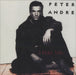 Peter Andre I Feel You UK CD single (CD5 / 5") D1521