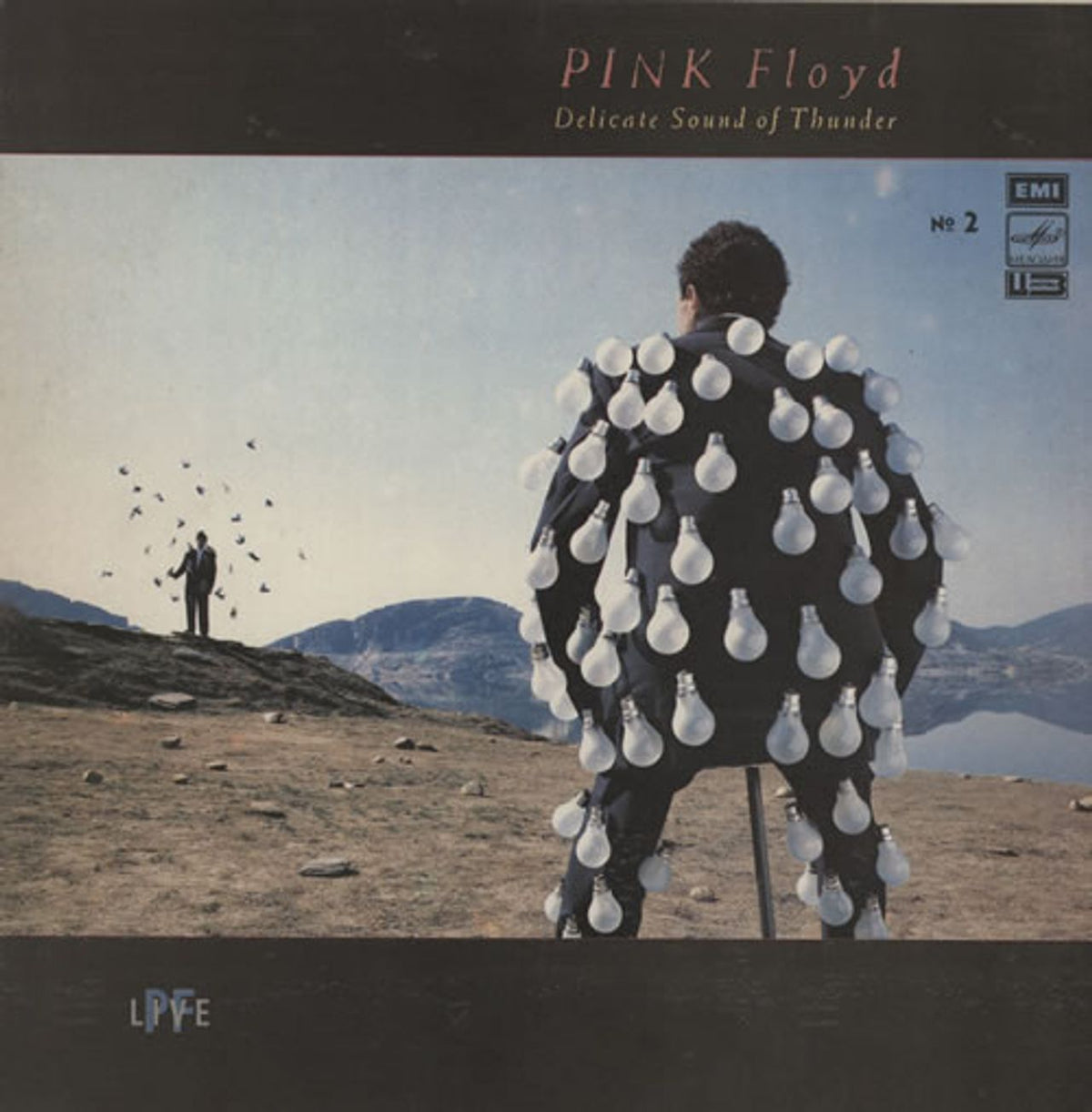 pink floyd delicate sound of thunder album cover