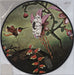 Rush The Garden - RSD BF13 US 10" Vinyl Picture Disc (10 inch Record Single) 016861354275