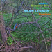 Sean Lennon Summer Sun/Like Stone - Sean Lennon Remixes - Sealed UK 12" vinyl single (12 inch record / Maxi-single) AJX621T