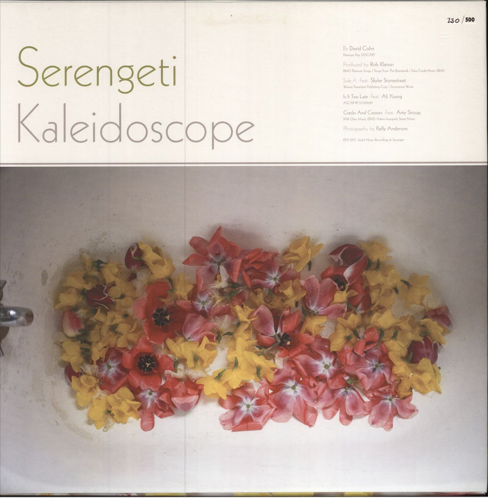 Serengeti Kaleidoscope - Orange Vinyl + Numbered Sleeve US 12" vinyl single (12 inch record / Maxi-single)