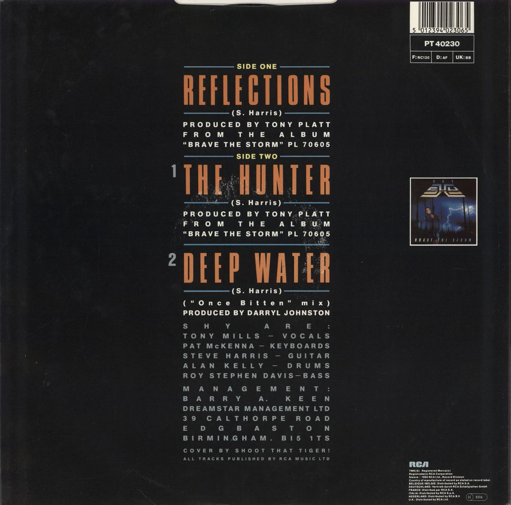 Shy Reflections UK 12" vinyl single (12 inch record / Maxi-single) 5012394023065