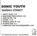 Sonic Youth Murray Street UK Promo CD-R acetate CDR ACETATE