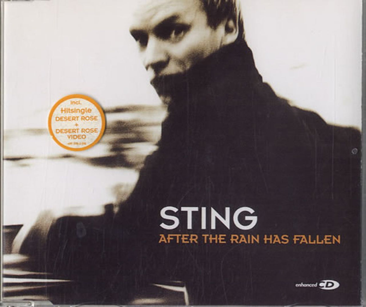 Sting After The Rain Has Fallen UK CD single — RareVinyl.com