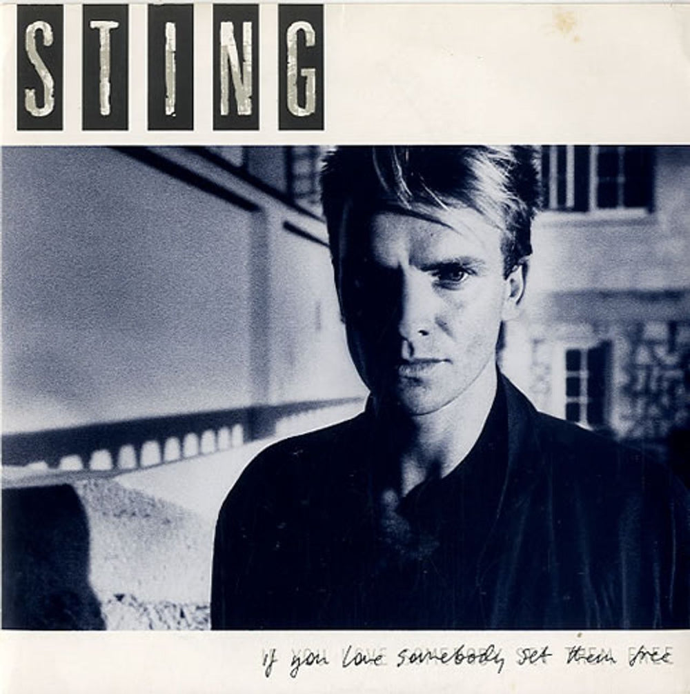 Sting If You Love Somebody Set Them Free UK Promo 7" vinyl single (7 inch record / 45) AM258