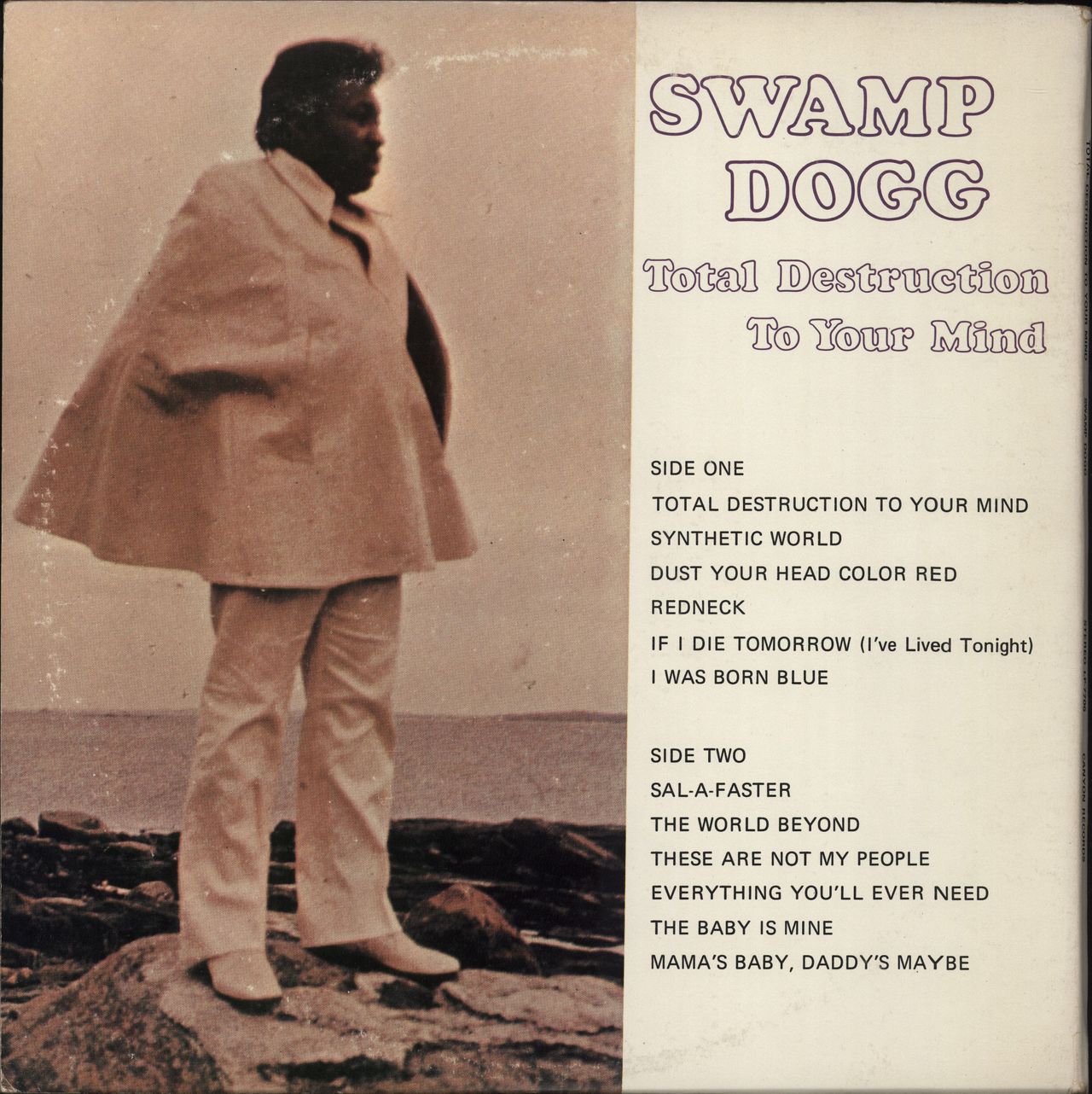 Swamp Dogg Total Destruction To Your Mind US 2-LP vinyl set