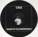 T-Rex / Tyrannosaurus Rex Dandy In The Underworld UK picture disc LP (vinyl picture disc album) RAPD508