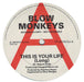 The Blow Monkeys This Is Your Life (Long) UK Promo 12" vinyl single (12 inch record / Maxi-single) PT42150DJ