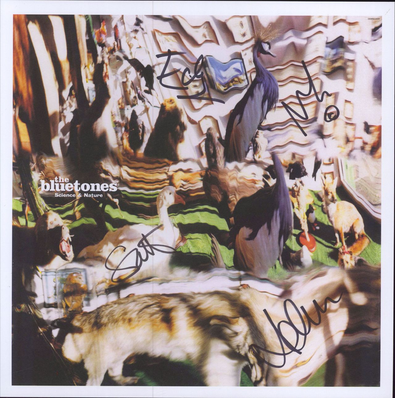 The Bluetones Science & Nature - 180gm Translucent Vinyl + Signed Print UK vinyl LP album (LP record)