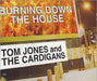 The Cardigans Burning Down The House UK CD single (CD5 / 5") CXGUT26