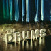 The Drums The Drums UK CD album (CDLP) 2736909