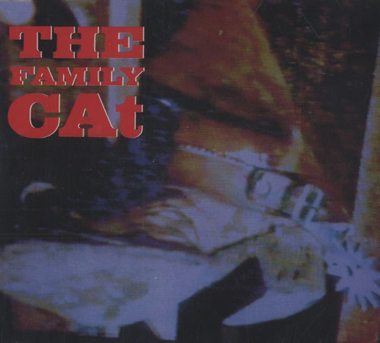 The Family Cat River Of Diamonds UK CD single (CD5 / 5") FCUK002CD