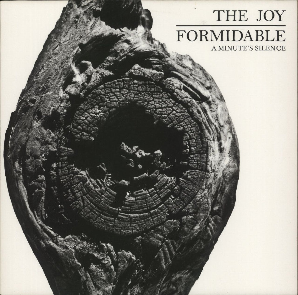 The Joy Formidable A Minute's Silence UK 12" vinyl single (12 inch record / Maxi-single) 7567-99548-4