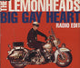 The Lemonheads Big Gay Heart UK Promo CD single (CD5 / 5") A7259CDDJ
