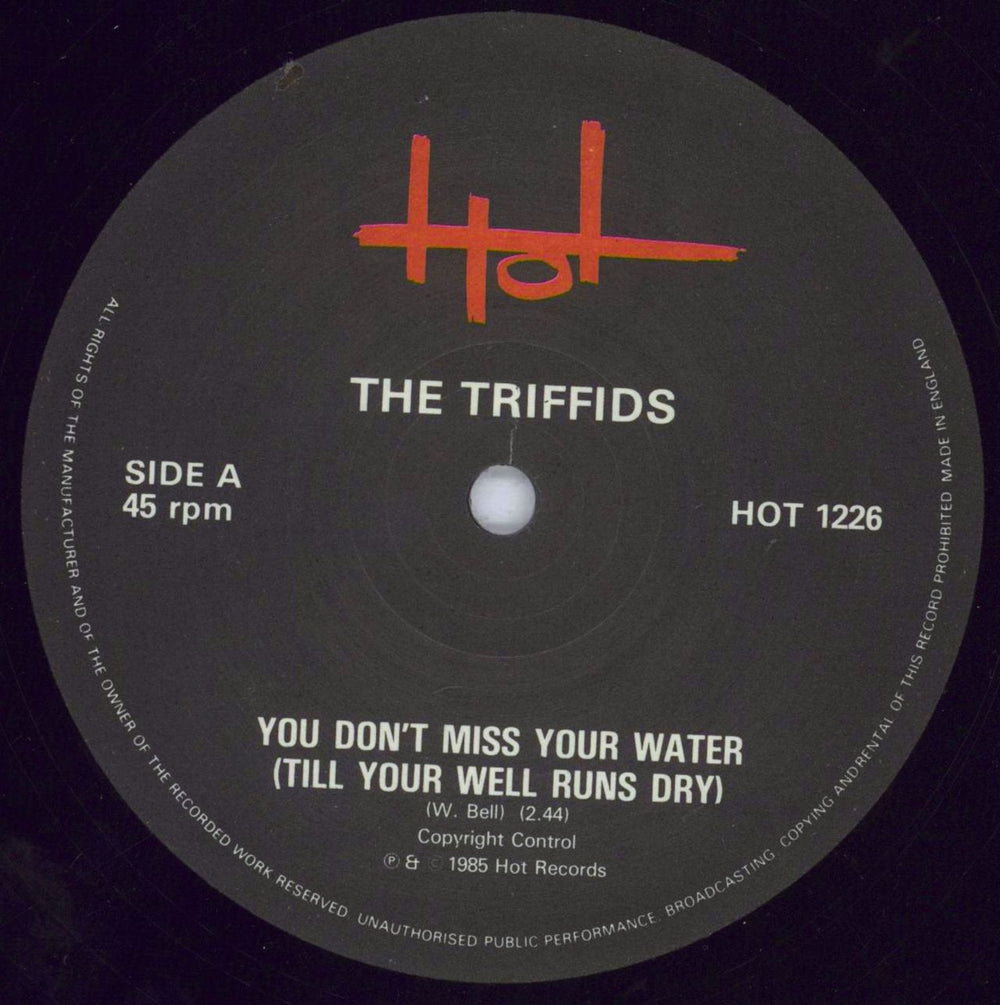 The Triffids (80s) You Don't Miss Your Water Till Your Well Runs Dry UK 12" vinyl single (12 inch record / Maxi-single) TFI12YO831275