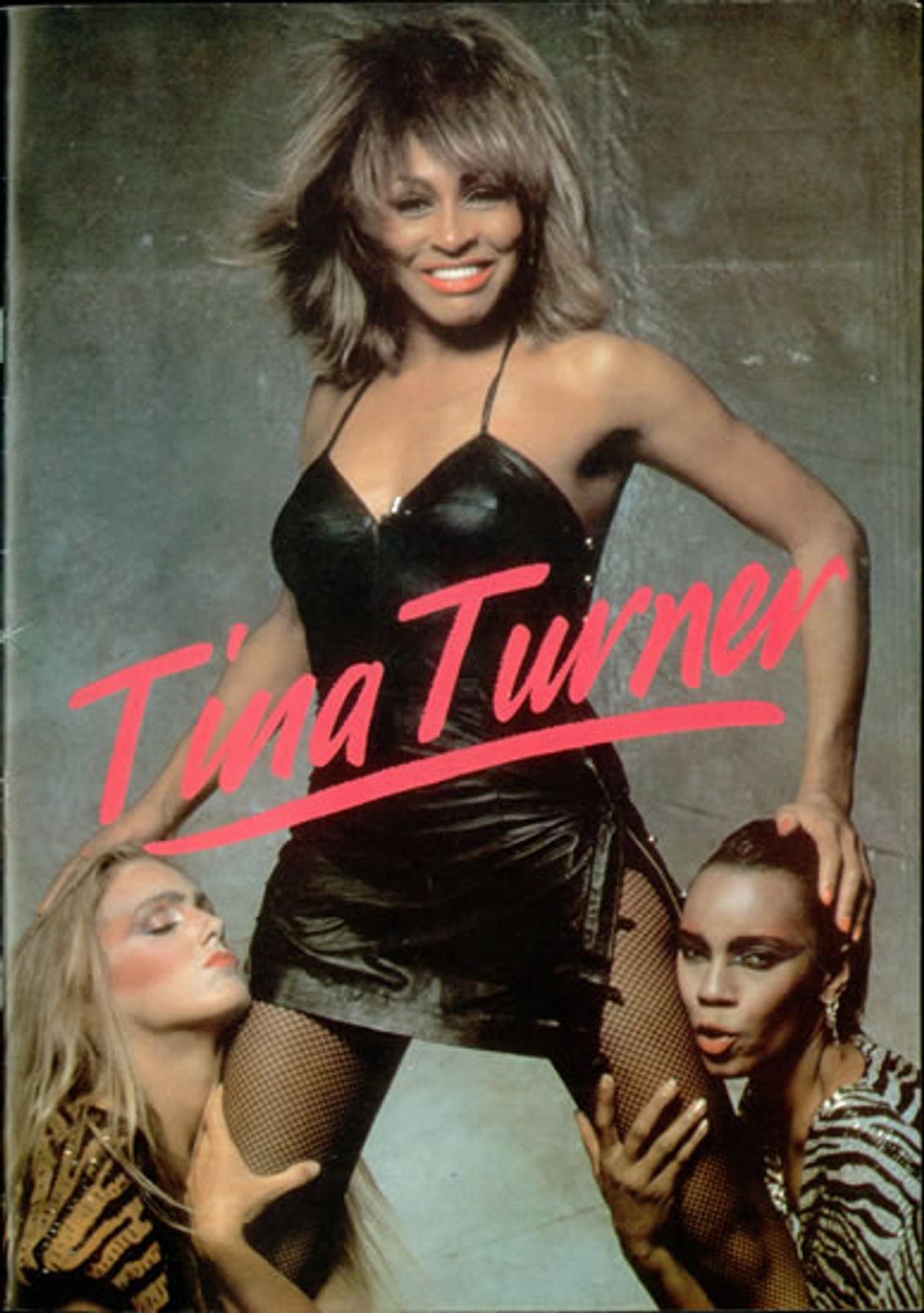 Tina Turner UK Tour 1984 UK Tour programme — RareVinyl.com