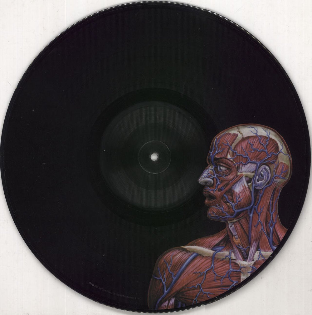 Tool Lateralus - EX US picture disc LP (vinyl picture disc album)