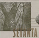 Various-Indie Setanta US Compilation UK Promo CD single (CD5 / 5") SETUS-001