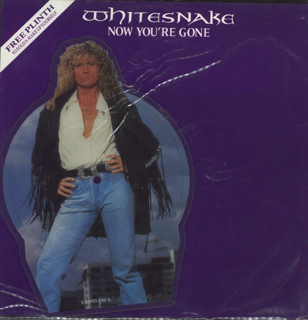 Whitesnake Now You're Gone (Remix) + Insert UK shaped picture disc (picture disc vinyl record) EMPD150