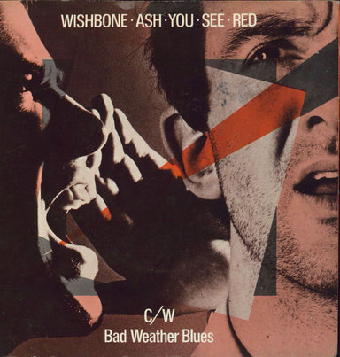 WISHBONE ASH YOU SEE RED UK盤 PROMO - レコード